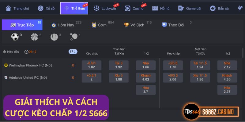 Giải mã bí ẩn Kèo chấp 1/2 tại s666