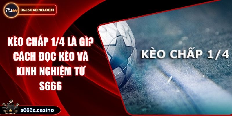 Kèo Chấp 1/4 Là Gì? Cách Đọc Kèo Và Kinh Nghiệm Từ S666