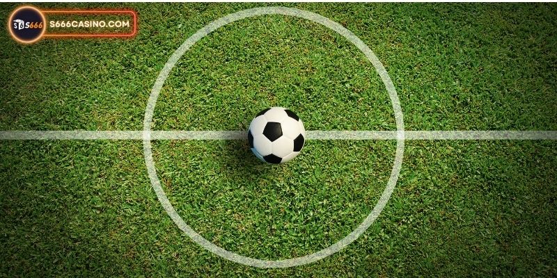 Kinh nghiệm cá cược khác từ cao thủ S666 bạn cần biết