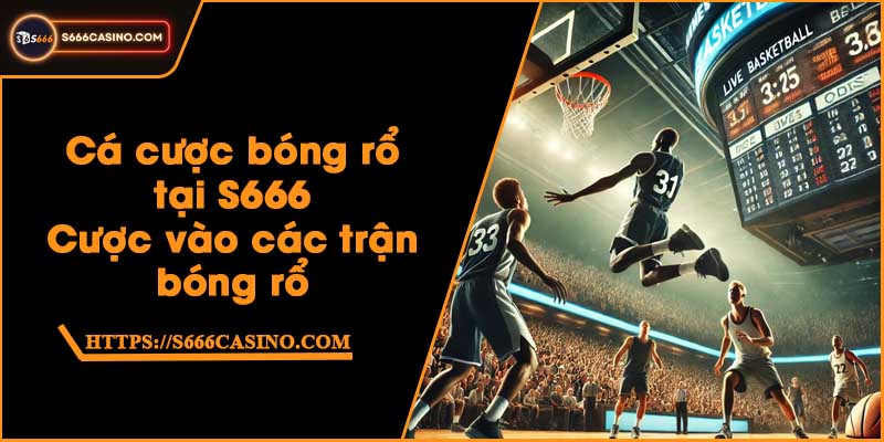 Cá cược bóng rổ tại S666 - Cược vào các trận bóng rổ