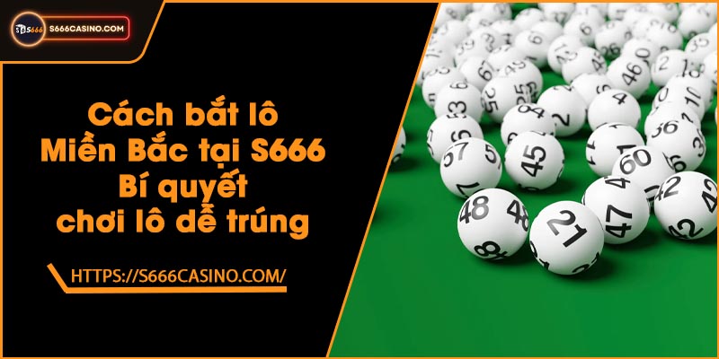 Cách bắt lô Miền Bắc tại S666 - Bí quyết chơi lô dễ trúng