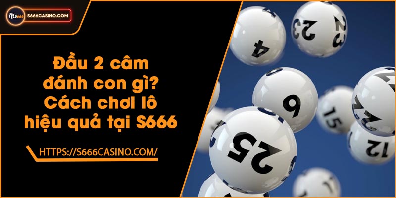 Đầu 2 câm đánh con gì? Cách chơi lô hiệu quả tại S666